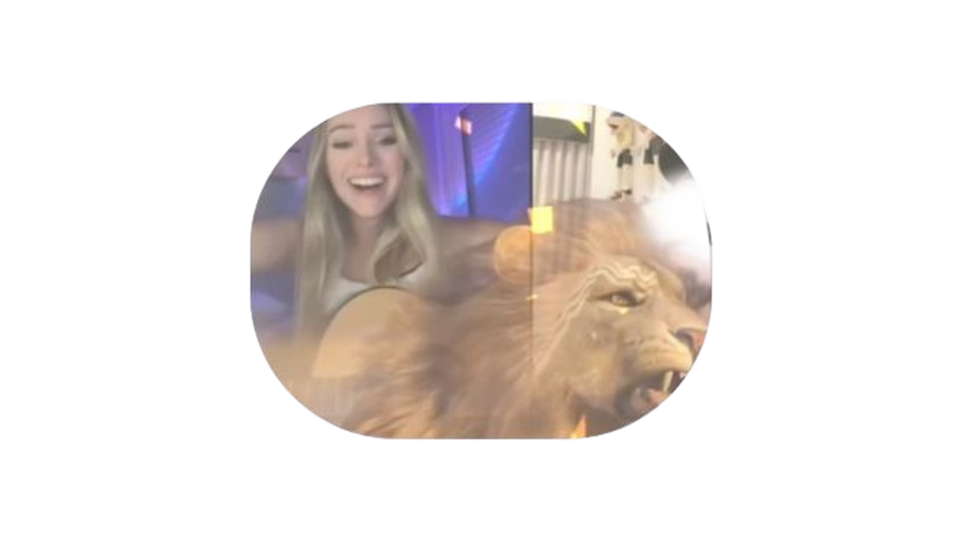 Criadora interagindo com o público durante uma live